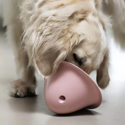 Dog Interactive Toy