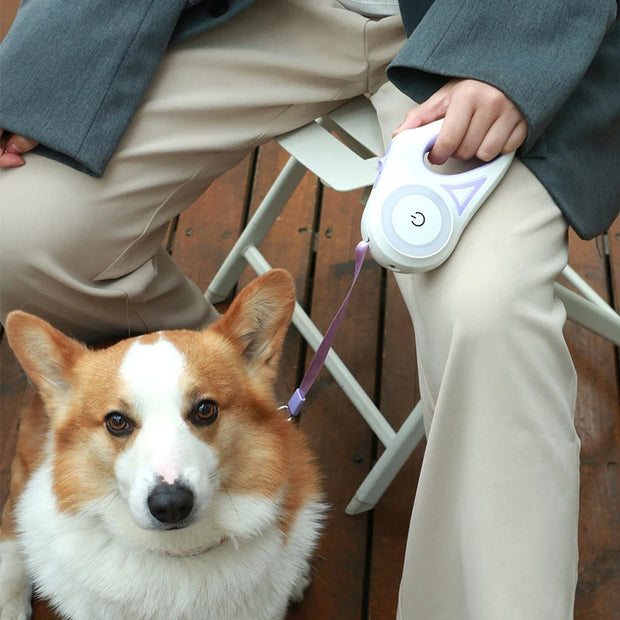 Dog Leash Light Retractable